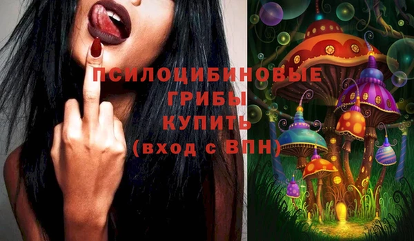 круглые Карталы