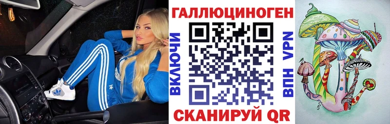 Купить  Венёв  Псилоцибиновые грибы Cubensis 