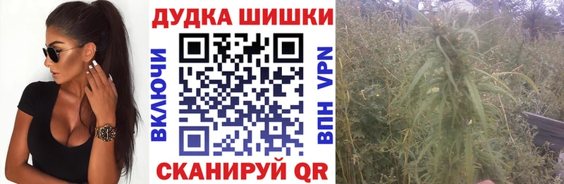 Купить где  Венёв  Каннабис MAZAR 